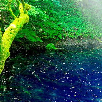 Scenic World Heritage in Tohoku