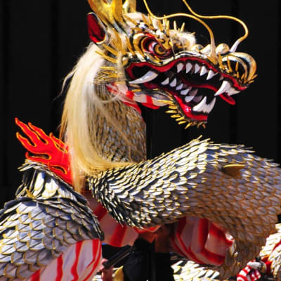 Diversidad y tradición alfarera en Nagasaki y Saga