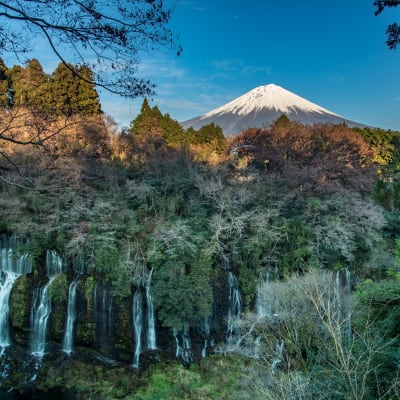 Erkundung der Fuji-Ausläufer in Shizuoka