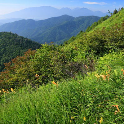 Parque nacional de Oze (Tochigi)