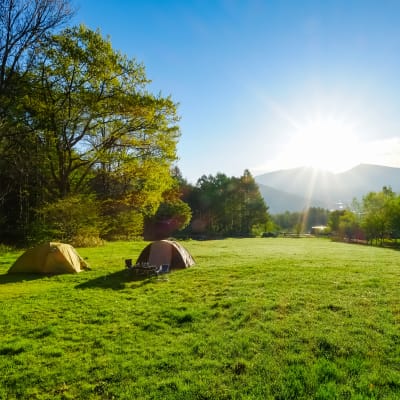 การตั้งแคมป์ในญี่ปุ่น