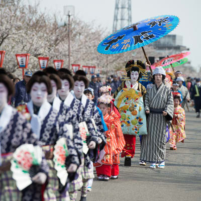 Festival de los Cerezos en Flor de Tsubame