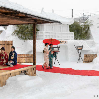 Festival de la neige de Tokamachi