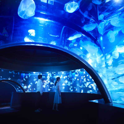 Kyoto Aquarium