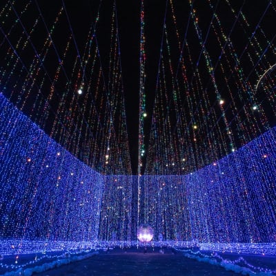 Festival Cahaya Sagamiko