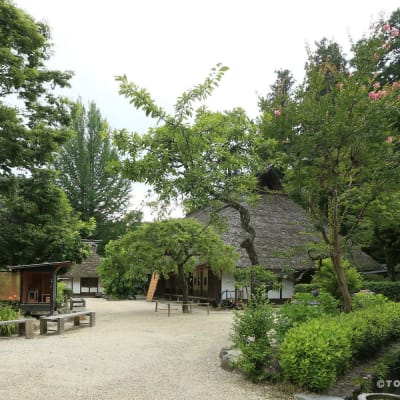 متحف سانشو أسوكي ياشيكي