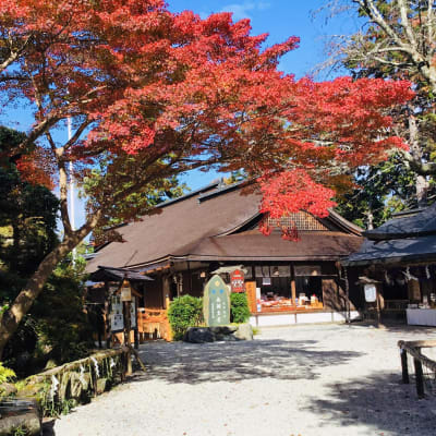 Yoshimizu-jinja Shrine