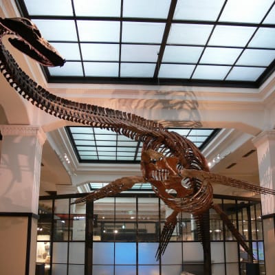 Museum Alam dan Sains Nasional