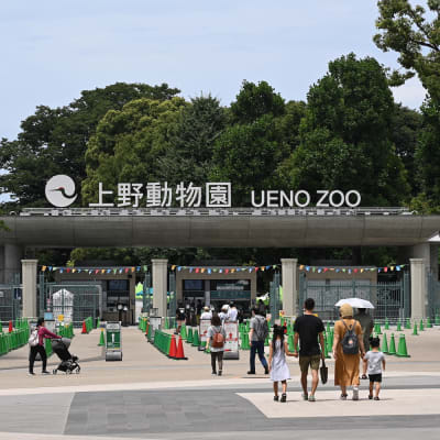 Zoo von Ueno