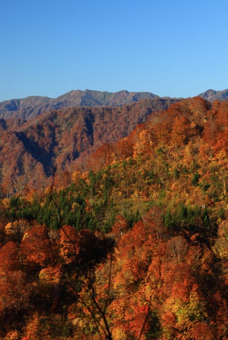 aomori shirakami area