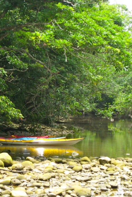 Iriomote Island