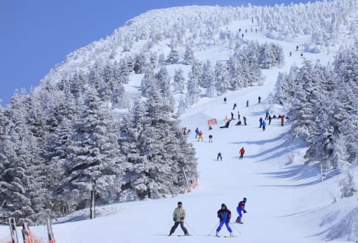 Zao Ski Resort