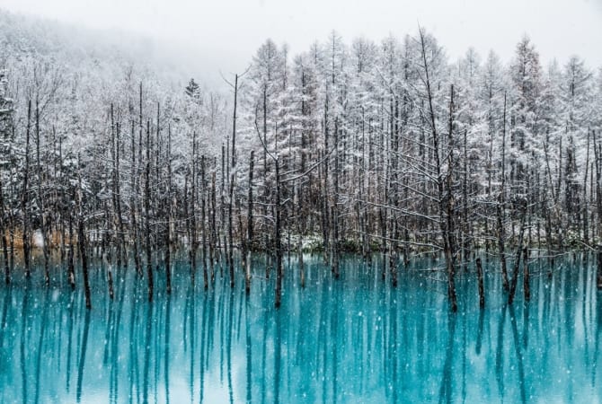 shirogane blue pond winter
