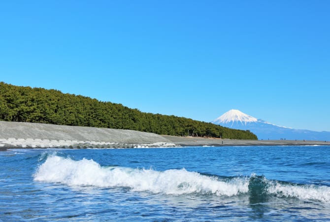Miho-no-Matsubara Pine Grove