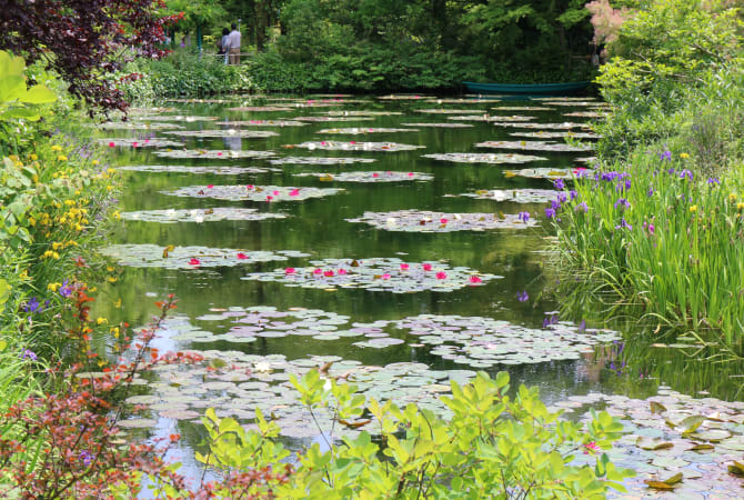 Monets Garden Marmottan