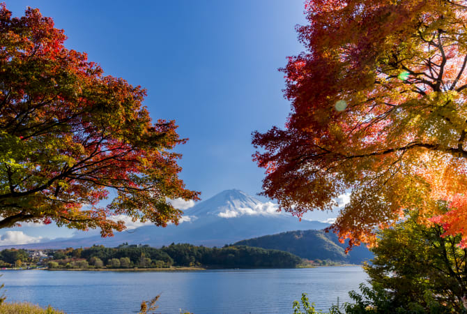 fuji five lakes