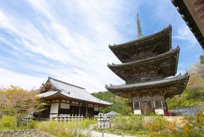 JOMC 20200415_tsubosakadera_29