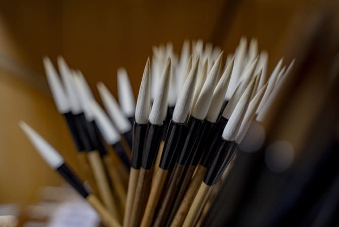 Nara Brushes