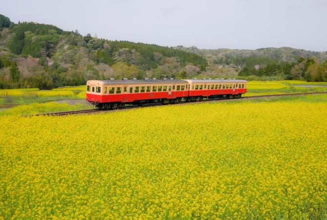 Kominato Railway