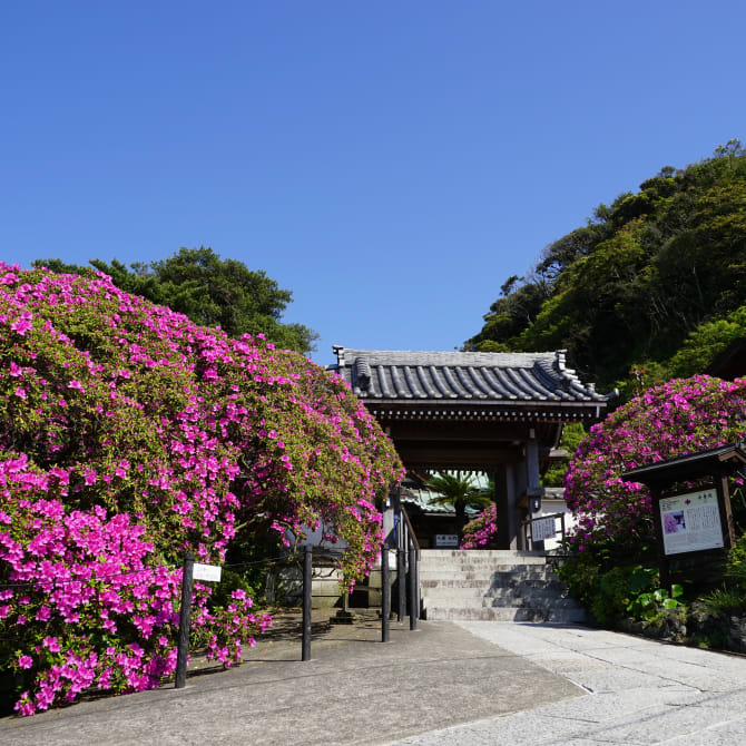 Anyoin Temple
