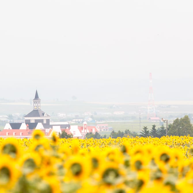 Hokuryu Sunflower Village
