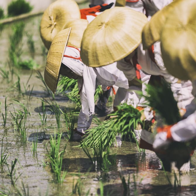Otaue Rice Planting Festival