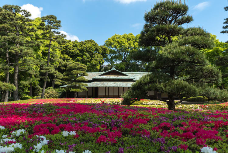 Flowers and traditional landscaping in the Imperial Palace East Gardens, Tokyo