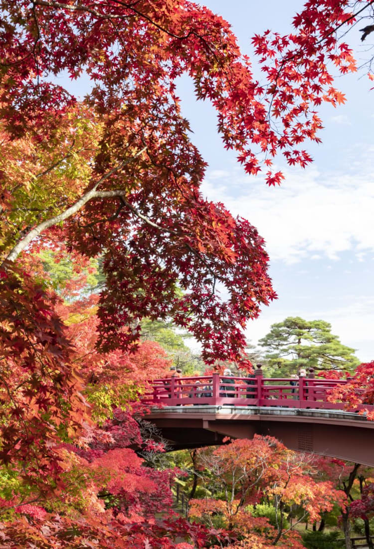 Wetter & Klima für den Japan Urlaub | Japan Reisen | Japanische