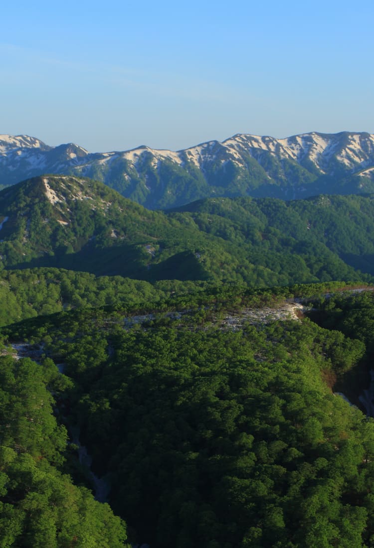 Aomori Shirakami Area