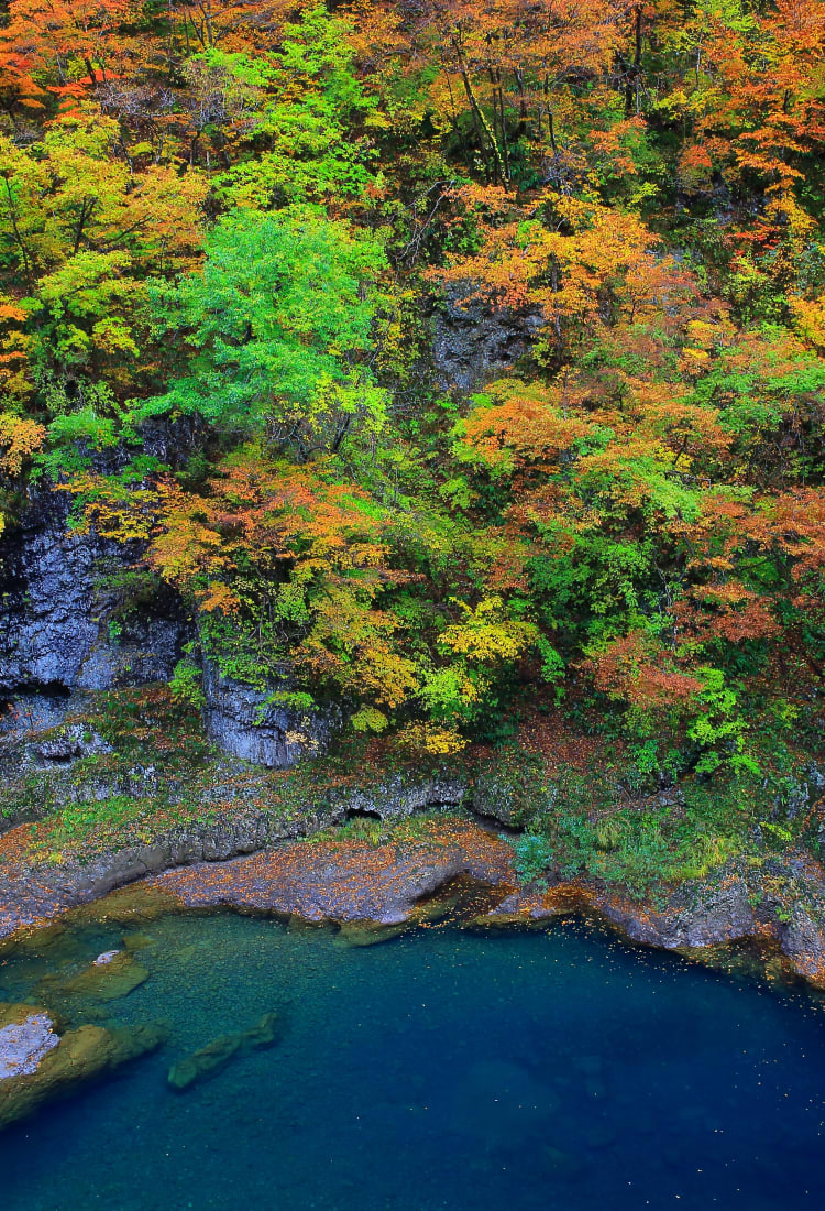 Dakigaeri Gorge-AUT