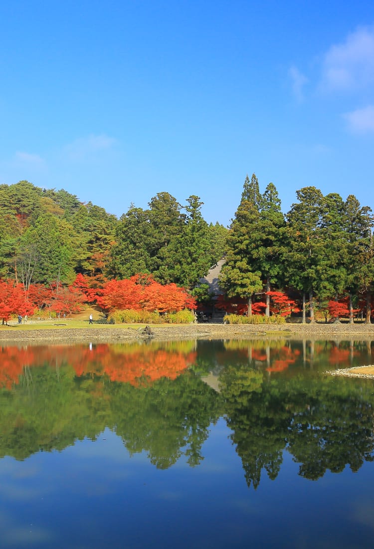 Hiraizumi Area