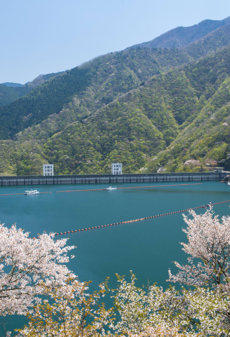 lake okutama-ko