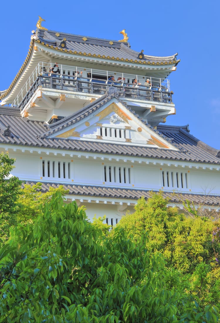 Gifu Castle