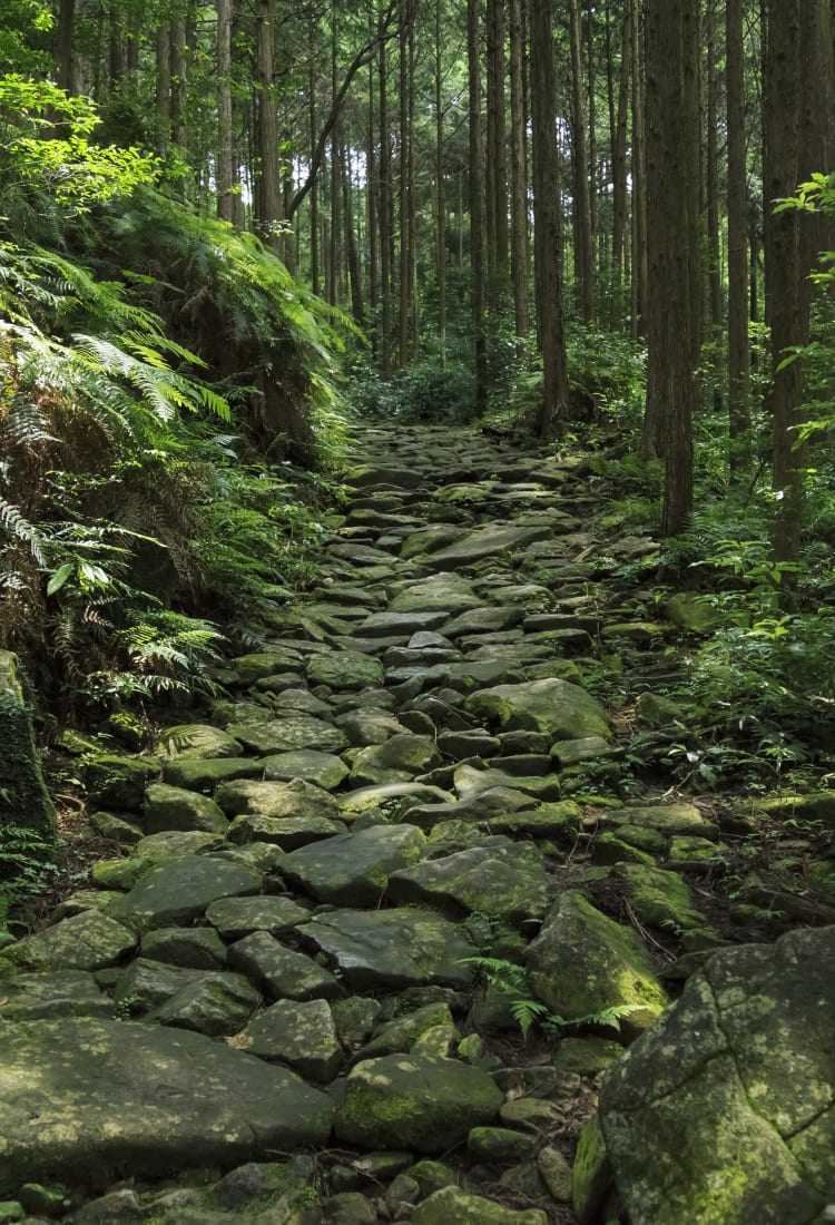 Magose-toge Pass of Kumano Kodo