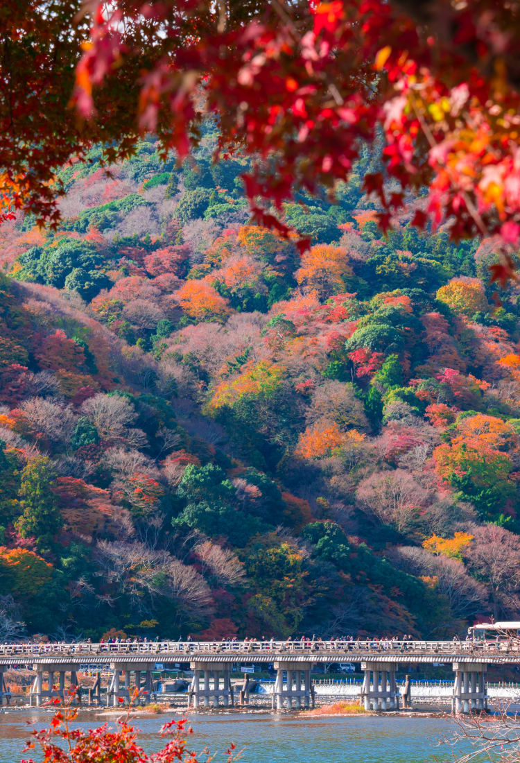 sagano & arashi-yama area