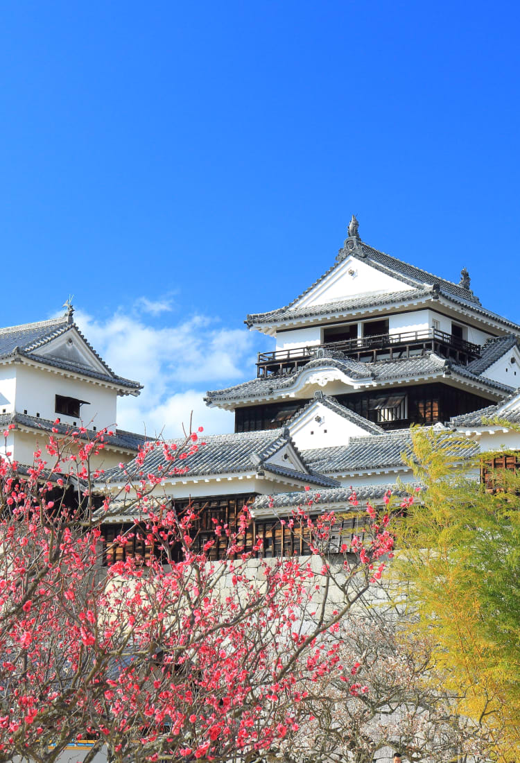 matsuyama castle