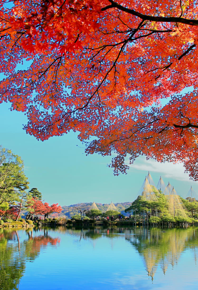 Autumn in Japan Guide Travel Japan（Japan National Tourism Organization）