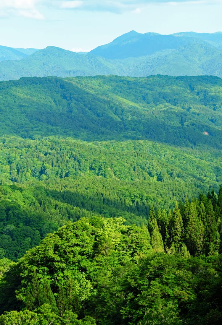 shirakami-sanchi mountain range