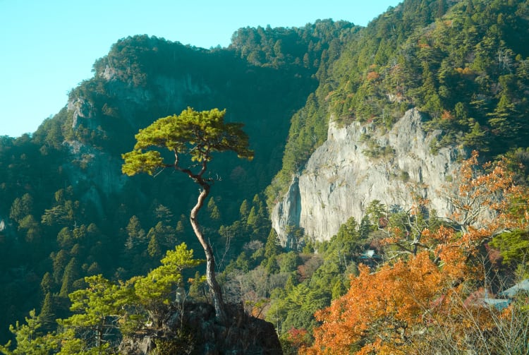 Mt Horai-ji-san Area