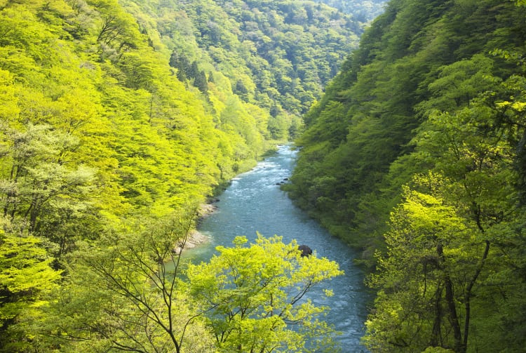 Dakigaeri Gorge