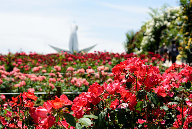 Expo Memorial Park