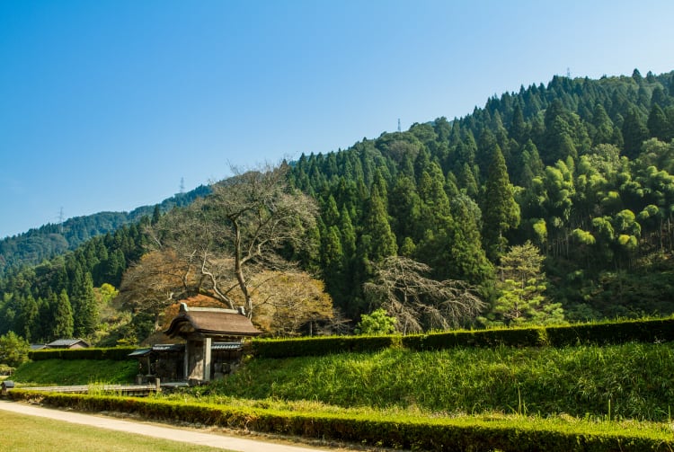 Ichijodani Asakura Clan Ruins