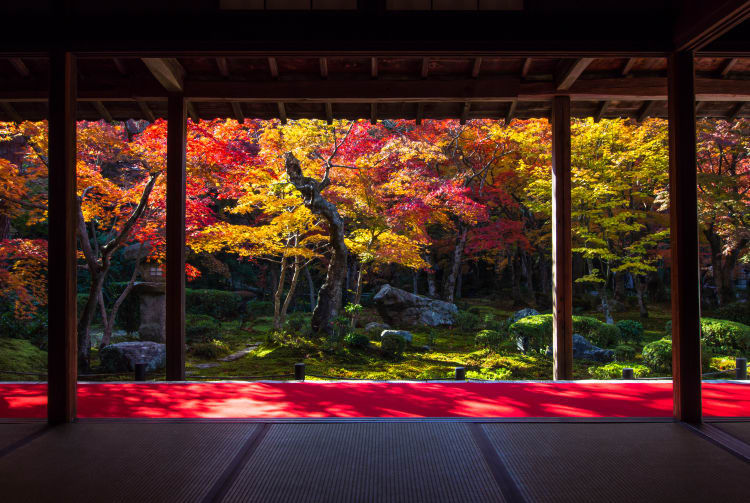 central kyoto