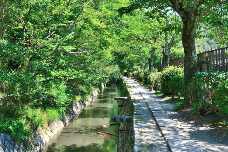 central kyoto