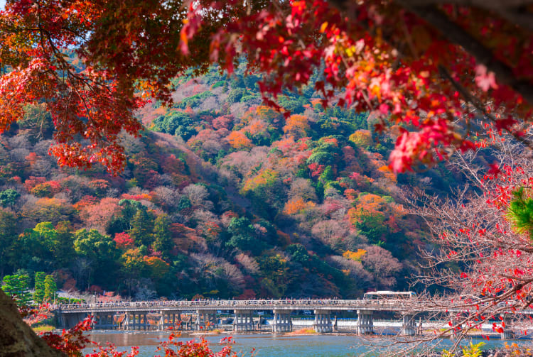 sagano & arashi-yama area