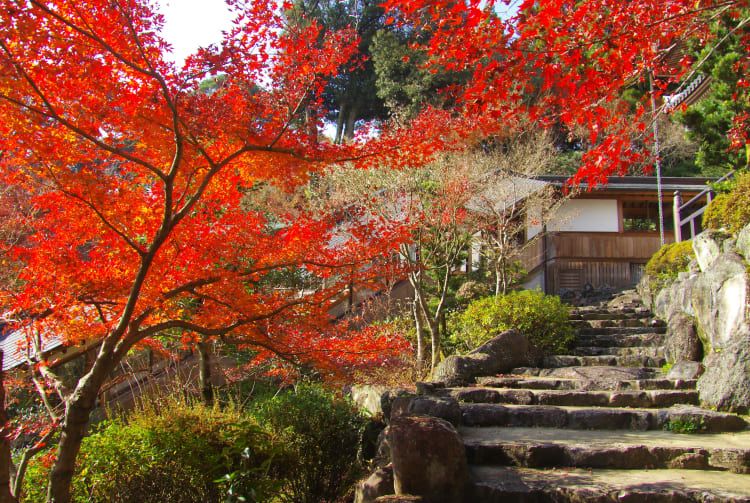 Koyaji Temple