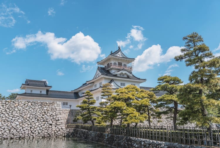 Toyama Castle