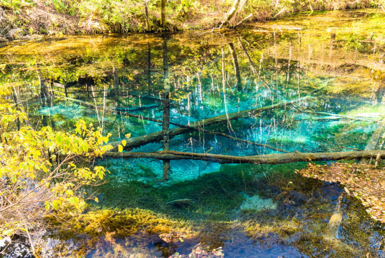 kaminoko pond