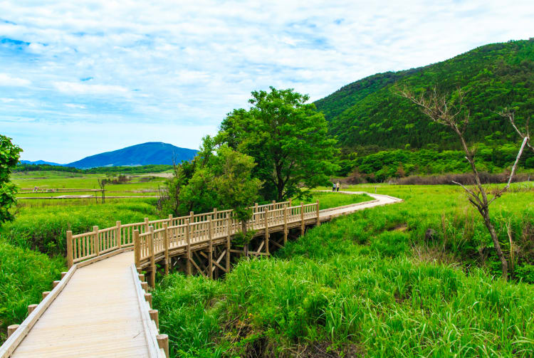 Tadewara Marshland and Bougatsuru Wetland and Chojabaru Visitor Center