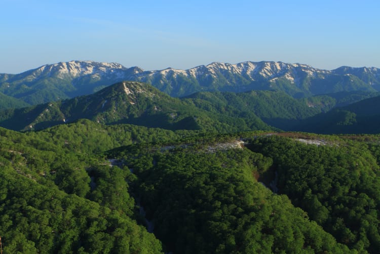 Aomori Shirakami Area